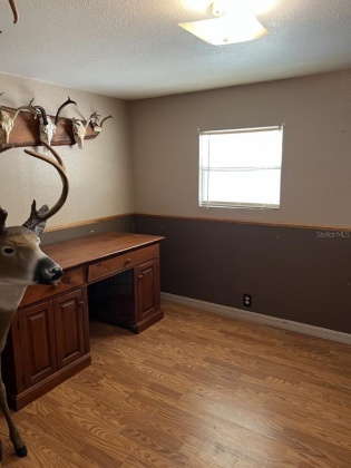 632 CITRUS GROVE BOULEVARD, POLK CITY, Florida 33868, 2 Bedrooms Bedrooms, ,1 BathroomBathrooms,Residential,For Sale,CITRUS GROVE,P4919452