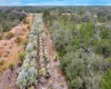 EAGLE PATH, FROSTPROOF, Florida 33843, ,Land,For Sale,EAGLE,O6004531