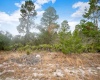 EAGLE PATH, FROSTPROOF, Florida 33843, ,Land,For Sale,EAGLE,O6004531