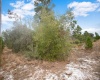 EAGLE PATH, FROSTPROOF, Florida 33843, ,Land,For Sale,EAGLE,O6004531
