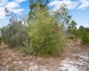 EAGLE PATH, FROSTPROOF, Florida 33843, ,Land,For Sale,EAGLE,O6004531