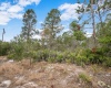 EAGLE PATH, FROSTPROOF, Florida 33843, ,Land,For Sale,EAGLE,O6004531