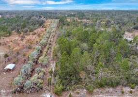 EAGLE PATH, FROSTPROOF, Florida 33843, ,Land,For Sale,EAGLE,O6004531