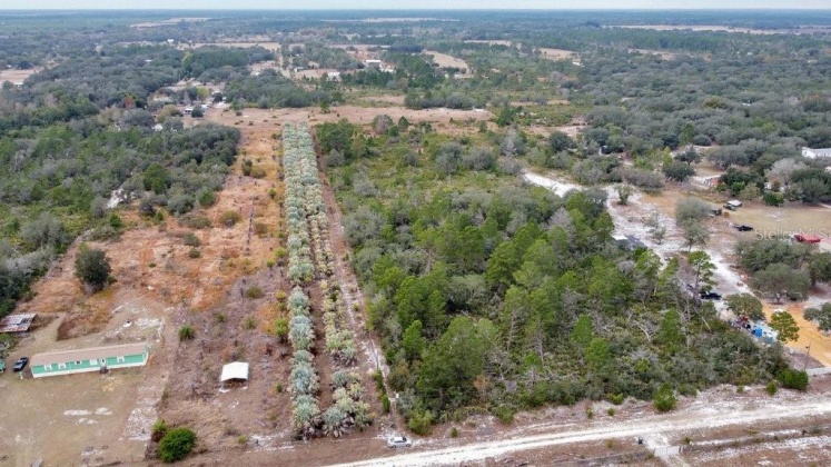 EAGLE PATH, FROSTPROOF, Florida 33843, ,Land,For Sale,EAGLE,O6004531