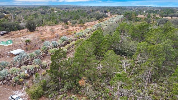 EAGLE PATH, FROSTPROOF, Florida 33843, ,Land,For Sale,EAGLE,O6004531