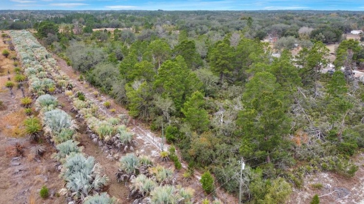 EAGLE PATH, FROSTPROOF, Florida 33843, ,Land,For Sale,EAGLE,O6004531