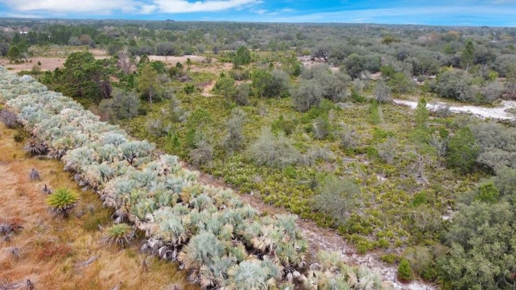 EAGLE PATH, FROSTPROOF, Florida 33843, ,Land,For Sale,EAGLE,O6004531