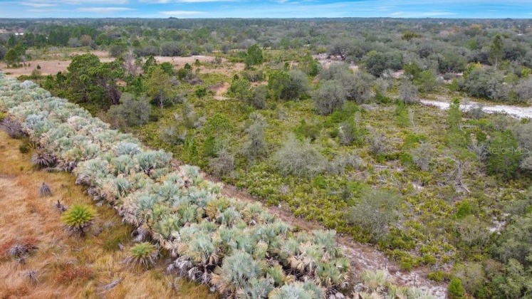 EAGLE PATH, FROSTPROOF, Florida 33843, ,Land,For Sale,EAGLE,O6004531