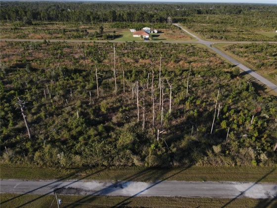 0 MAGNOLIA DRIVE, INDIAN LAKE ESTATES, Florida 33855, ,Land,For Sale,MAGNOLIA,P4918466