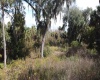 0 TIMBERLANE ROAD, LAKE WALES, Florida 33898, ,Land,For Sale,TIMBERLANE,P4919080