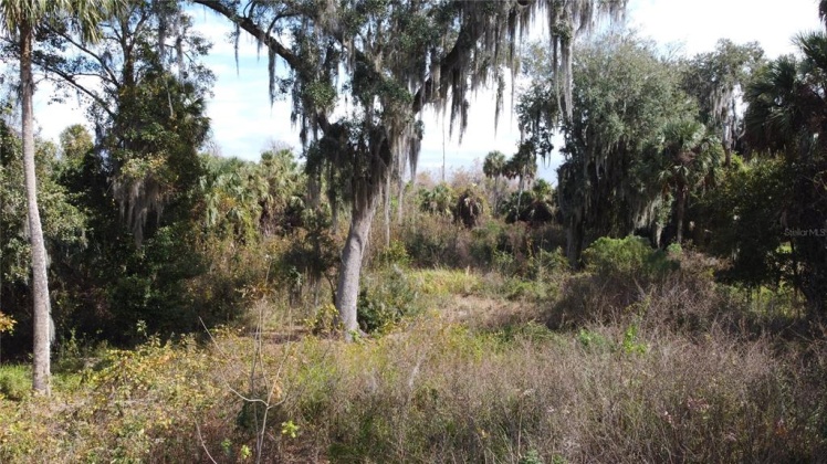 0 TIMBERLANE ROAD, LAKE WALES, Florida 33898, ,Land,For Sale,TIMBERLANE,P4919080