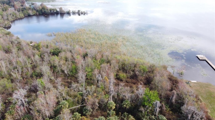 0 TIMBERLANE ROAD, LAKE WALES, Florida 33898, ,Land,For Sale,TIMBERLANE,P4919080