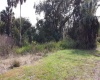 0 TIMBERLANE ROAD, LAKE WALES, Florida 33898, ,Land,For Sale,TIMBERLANE,P4919080