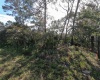 0 OAKRIDGE DRIVE, FROSTPROOF, Florida 33843, ,Land,For Sale,OAKRIDGE,K4901655
