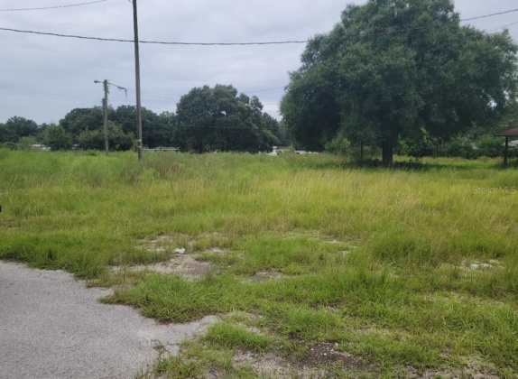 AUBURNDALE, Florida 33823, ,Land,For Sale,V4923123