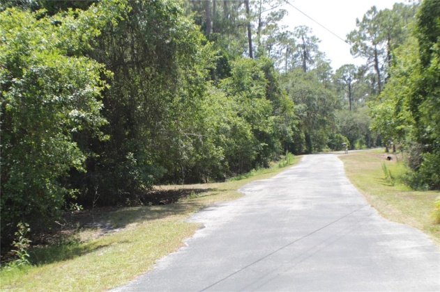 11137 SHORE DRIVE, LAKE WALES, Florida 33898, ,Land,For Sale,SHORE,P4919465