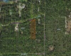 11137 SHORE DRIVE, LAKE WALES, Florida 33898, ,Land,For Sale,SHORE,P4919465