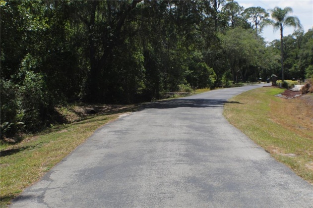 11137 SHORE DRIVE, LAKE WALES, Florida 33898, ,Land,For Sale,SHORE,P4919465