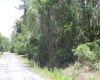 11137 SHORE DRIVE, LAKE WALES, Florida 33898, ,Land,For Sale,SHORE,P4919465