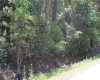 11137 SHORE DRIVE, LAKE WALES, Florida 33898, ,Land,For Sale,SHORE,P4919465