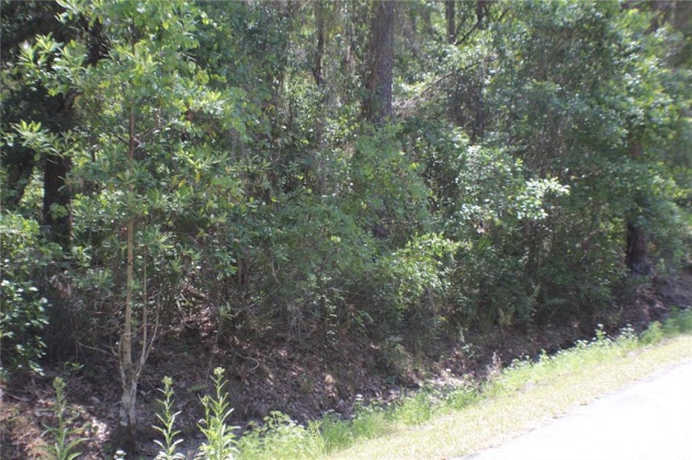 11137 SHORE DRIVE, LAKE WALES, Florida 33898, ,Land,For Sale,SHORE,P4919465
