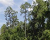 11137 SHORE DRIVE, LAKE WALES, Florida 33898, ,Land,For Sale,SHORE,P4919465