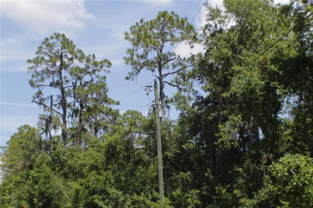 11137 SHORE DRIVE, LAKE WALES, Florida 33898, ,Land,For Sale,SHORE,P4919465