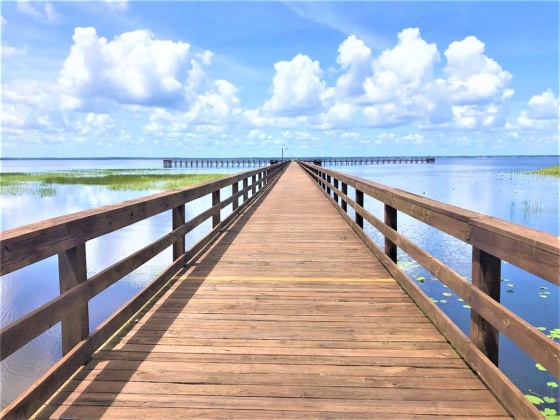 HIBISCUS DRIVE, LAKE WALES, Florida 33898, ,Land,For Sale,HIBISCUS,P4919471
