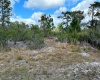 HIBISCUS DRIVE, LAKE WALES, Florida 33898, ,Land,For Sale,HIBISCUS,P4919471