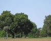 HIBISCUS DRIVE, LAKE WALES, Florida 33898, ,Land,For Sale,HIBISCUS,P4919471