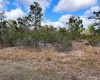 HIBISCUS DRIVE, LAKE WALES, Florida 33898, ,Land,For Sale,HIBISCUS,P4919471