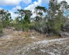 HIBISCUS DRIVE, LAKE WALES, Florida 33898, ,Land,For Sale,HIBISCUS,P4919471