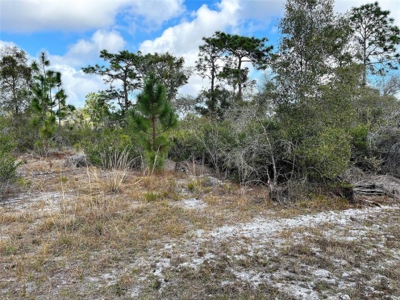HIBISCUS DRIVE, LAKE WALES, Florida 33898, ,Land,For Sale,HIBISCUS,P4919471