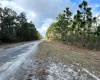 HIBISCUS DRIVE, LAKE WALES, Florida 33898, ,Land,For Sale,HIBISCUS,P4919471
