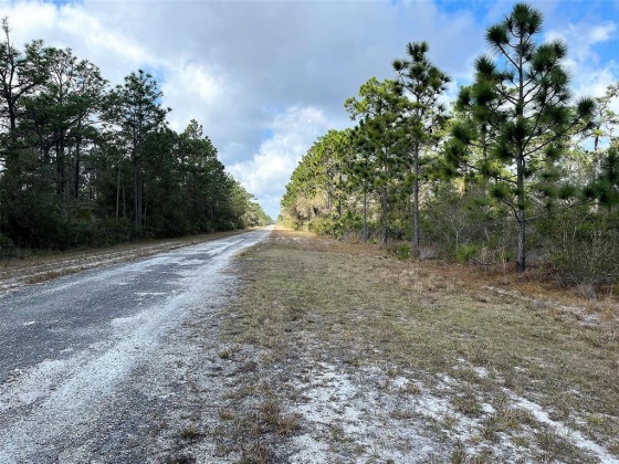 HIBISCUS DRIVE, LAKE WALES, Florida 33898, ,Land,For Sale,HIBISCUS,P4919471