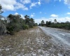 HIBISCUS DRIVE, LAKE WALES, Florida 33898, ,Land,For Sale,HIBISCUS,P4919471