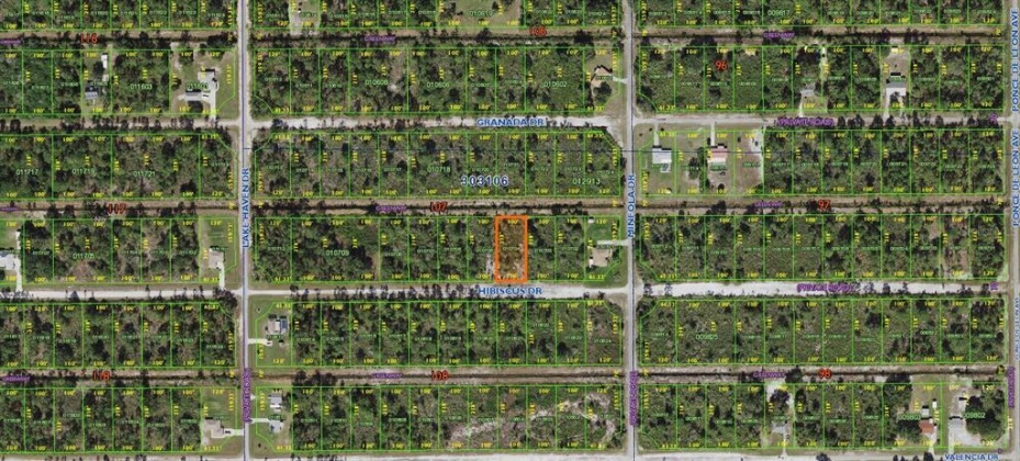 HIBISCUS DRIVE, LAKE WALES, Florida 33898, ,Land,For Sale,HIBISCUS,P4919471