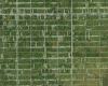 HIBISCUS DRIVE, LAKE WALES, Florida 33898, ,Land,For Sale,HIBISCUS,P4919471
