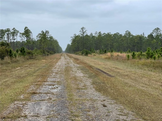 607 CALENDULA DRIVE, INDIAN LAKE ESTATES, Florida 33855, ,Land,For Sale,CALENDULA,T3339844