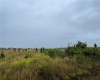 607 CALENDULA DRIVE, INDIAN LAKE ESTATES, Florida 33855, ,Land,For Sale,CALENDULA,T3339844