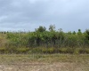 607 CALENDULA DRIVE, INDIAN LAKE ESTATES, Florida 33855, ,Land,For Sale,CALENDULA,T3339844
