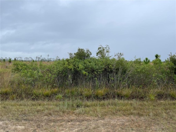 607 CALENDULA DRIVE, INDIAN LAKE ESTATES, Florida 33855, ,Land,For Sale,CALENDULA,T3339844