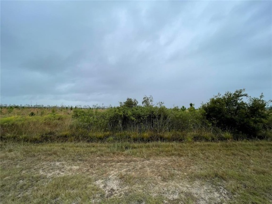 607 CALENDULA DRIVE, INDIAN LAKE ESTATES, Florida 33855, ,Land,For Sale,CALENDULA,T3339844