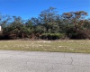 437 BALTIC COURT, POINCIANA, Florida 34759, ,Land,For Sale,BALTIC,O5993946