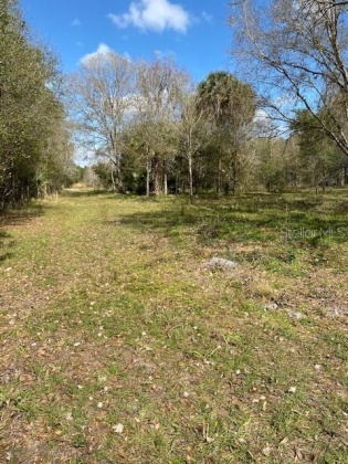 3501 DEEN STILL ROAD, POLK CITY, Florida 33868, ,Land,For Sale,DEEN STILL,L4927845
