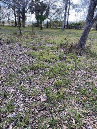 3501 DEEN STILL ROAD, POLK CITY, Florida 33868, ,Land,For Sale,DEEN STILL,L4927845
