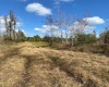 3501 DEEN STILL ROAD, POLK CITY, Florida 33868, ,Land,For Sale,DEEN STILL,L4927845