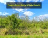3450 LAKE ELOISE DRIVE, WINTER HAVEN, Florida 33880, ,Land,For Sale,LAKE ELOISE,A4525863