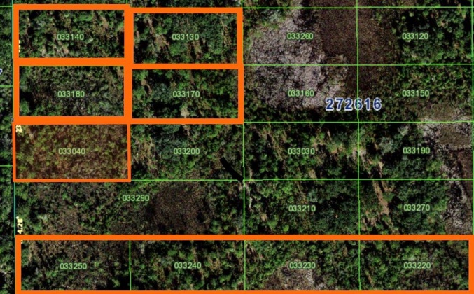 0 BOWMAN ROAD, DAVENPORT, Florida 33837, ,Land,For Sale,BOWMAN,O6005461