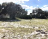 3559 REAGAN BOULEVARD, LAKE WALES, Florida 33898, 3 Bedrooms Bedrooms, ,2 BathroomsBathrooms,Residential,For Sale,REAGAN,P4919598